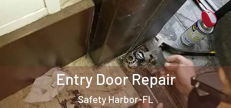  Entry Door Repair Safety Harbor-FL