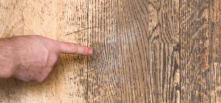 Wood Door Scratch Repair in Safety Harbor